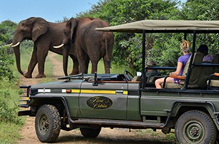 Land Rover African Safari