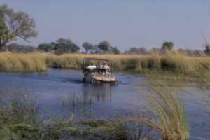 Safari In Africa - Adventure of a Lifetime 1