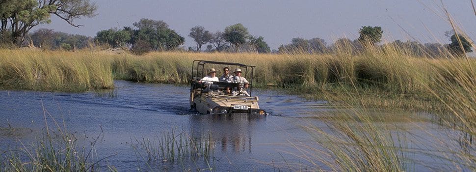 On safari Botswana Africa
