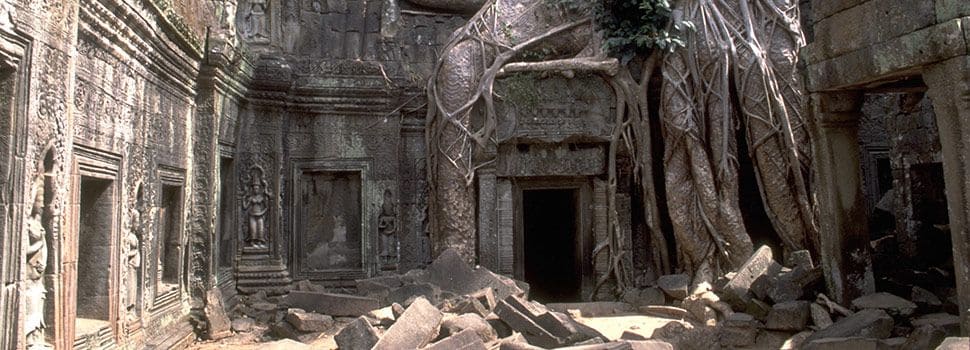 Ruins at Ta Prohm Angkor Cambodia