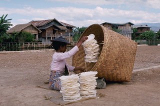 Best of Southeast Asia Favorite 14