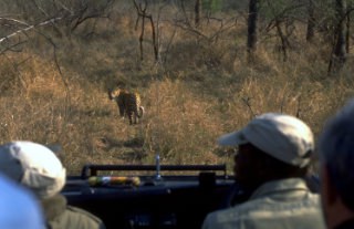 Adventure To Africa Favorite 14