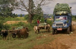 Myanmar (Burma) - Unique and Wondrous 3