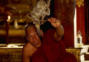 Southeast Asia Escapade 20