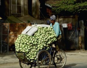 Spring Rolls - The very finest found in Hue Vietnam 1