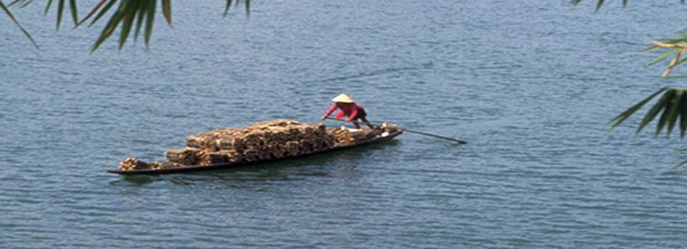 Wood delivery by sampan Vietnam
