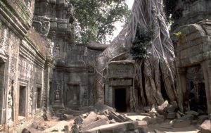 Angkor Wat - Deservedly On The Top 5 Of Your Bucket List 2