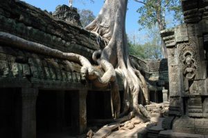 Southeast Asia Escapade 12